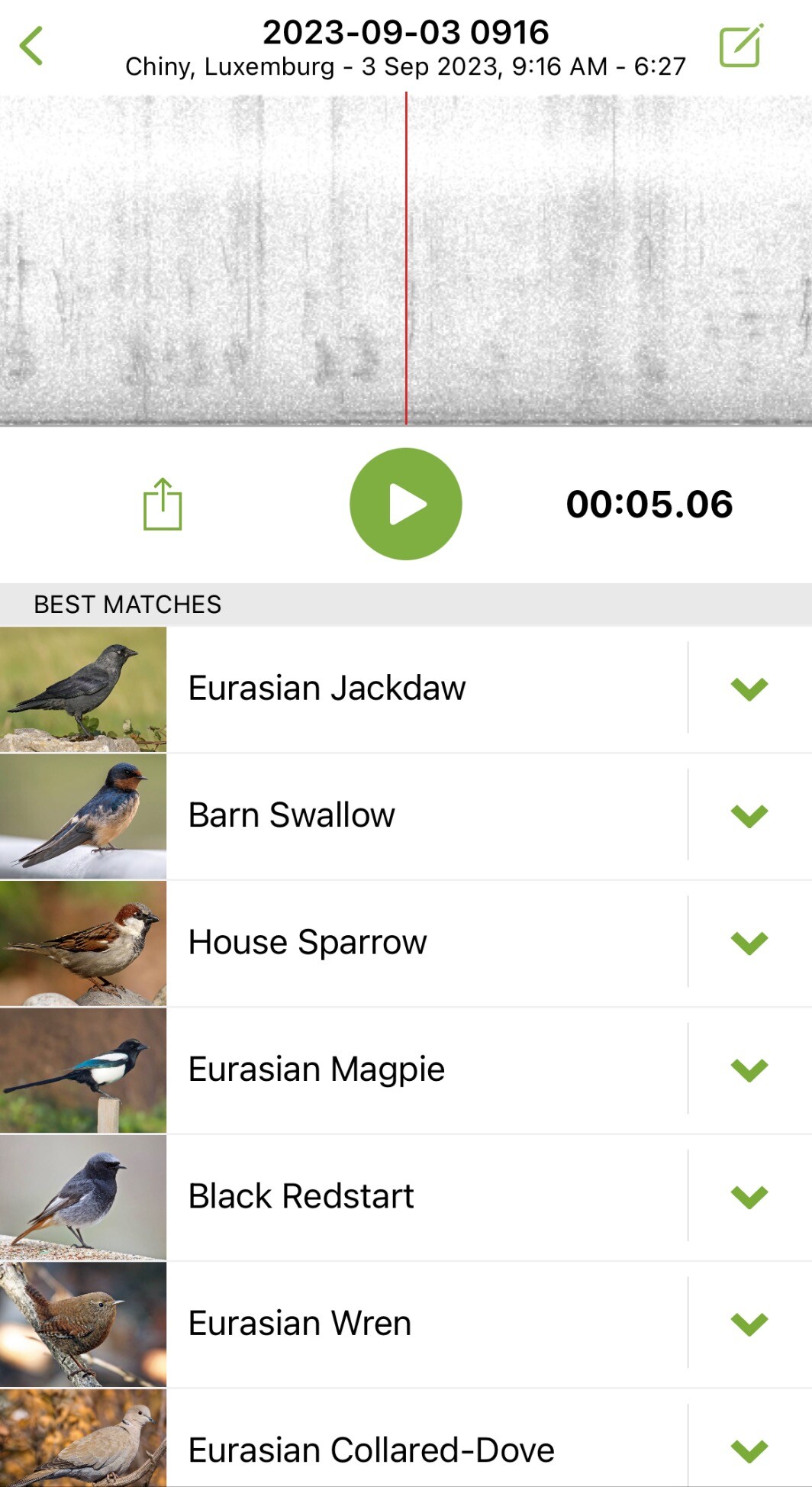 Automatic detection of birds song with Merlin Bird ID using the mobile phone app.