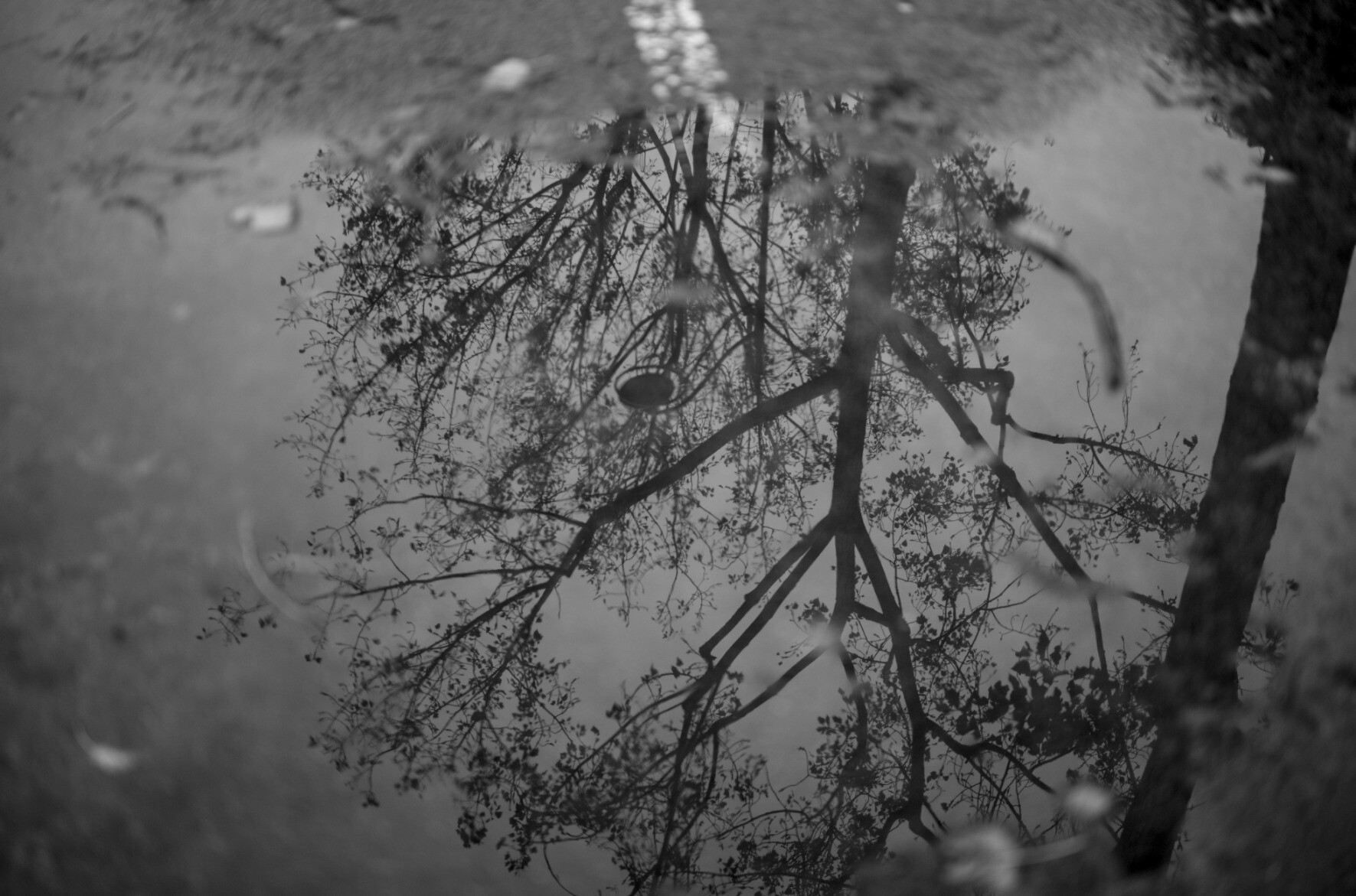 Floating reflection, Paris 2023