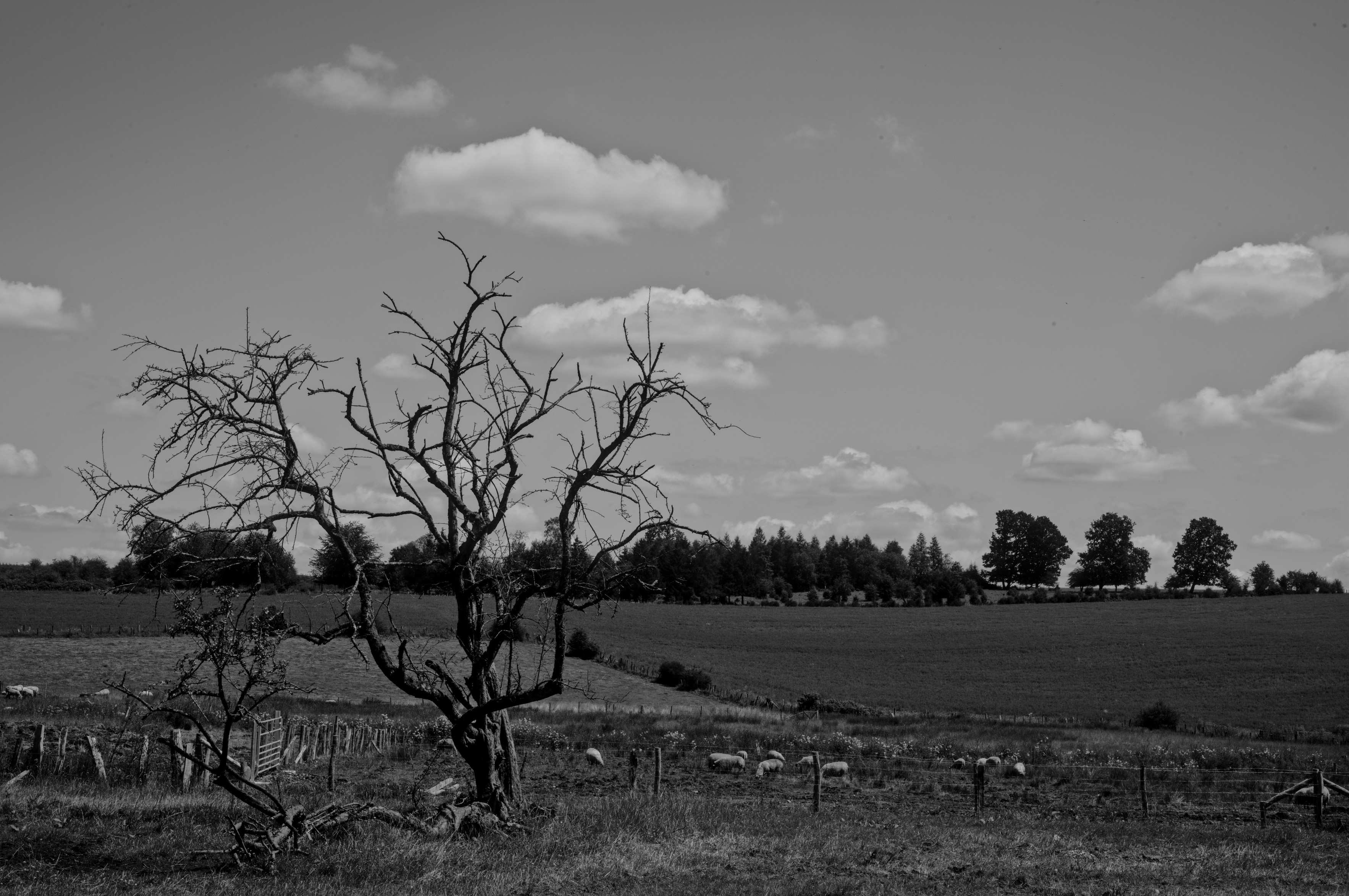 ephemeral eternity, Belgium 2024